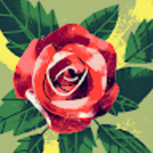 Meet your Posher, Rose